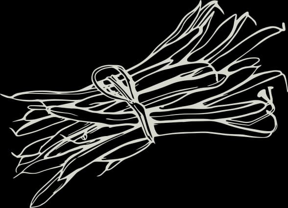 décor