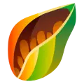 cacao's logo